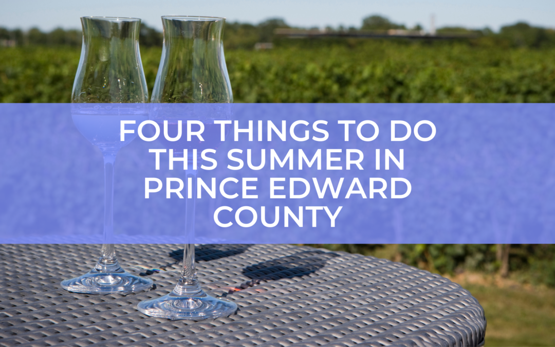 Four things to do this summer in Prince Edward County