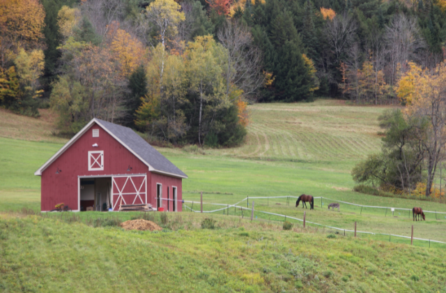 farmhouse