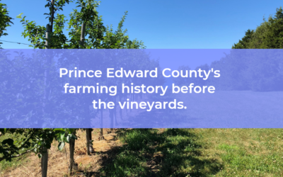 Before the Vineyards: Prince Edward County’s history of Farming and Canning