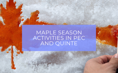 Maple Season in Prince Edward County and Quinte West: Your 2024 Activity Guide 