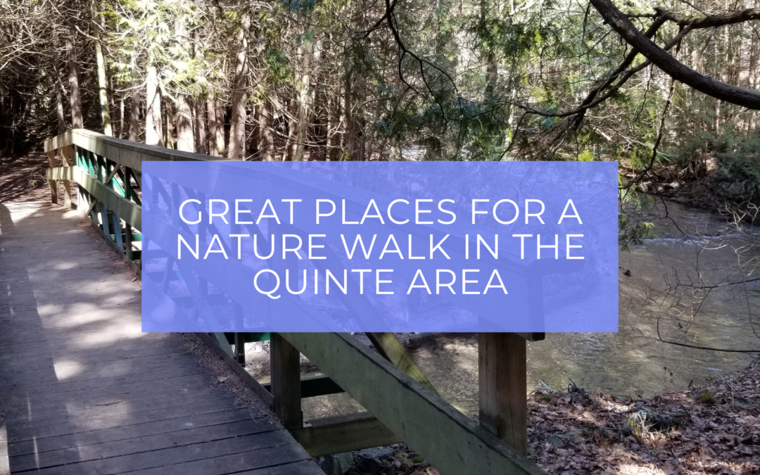Exploring the Quinte Area: 3 Great Places to Walk in Nature