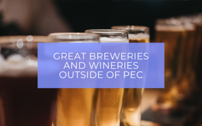 Awesome Breweries and Wineries Beyond Prince Edward County