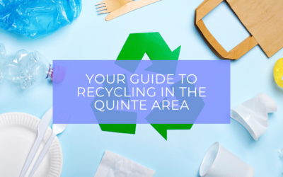 Recycling in the Quinte Area: Everything You Need to Know